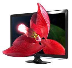 3D Display